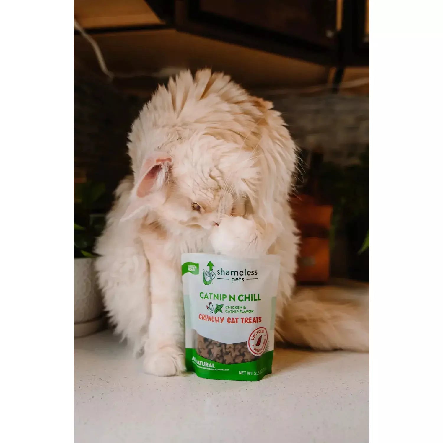 Shameless Pets Crunchy Cat Treats with Catnip for a Relaxed Feline