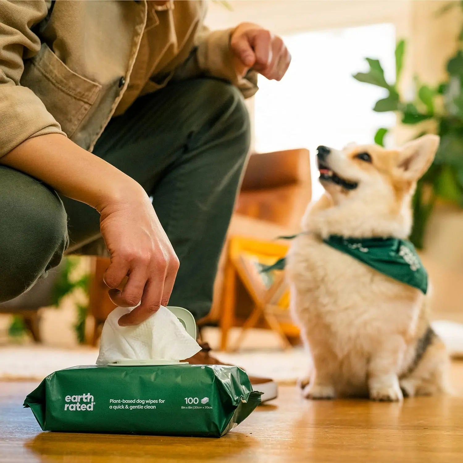 Earth Rated 100-Count Plant-Based Dog Grooming Wipes for Daily Pet Care