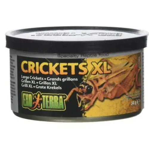Exo Terra Extra - Large Canned Crickets, a Specialized Food Option for Reptiles