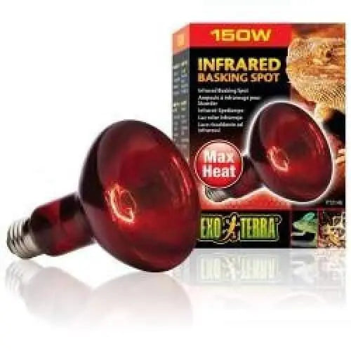 Exo-Terra Infrared Heat Glo Lamp for Terrarium Heating