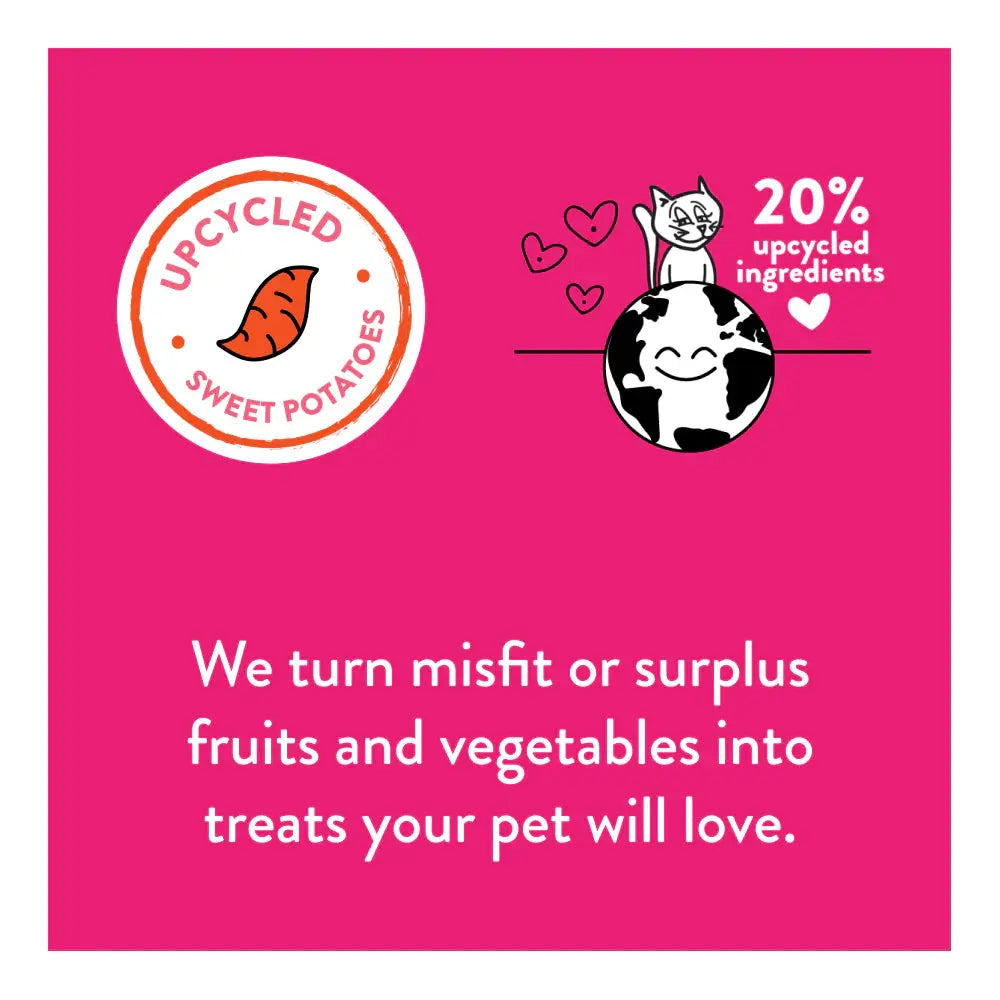 Shameless Pets Delicious Chicken and Cranberry Crunchy Cat Treats for Feline Nutrition