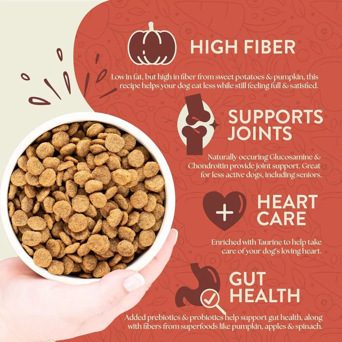 Earthborn Holistic Grain-Free Dry Dog Food for Weight Control with Chicken Meal & Veggies