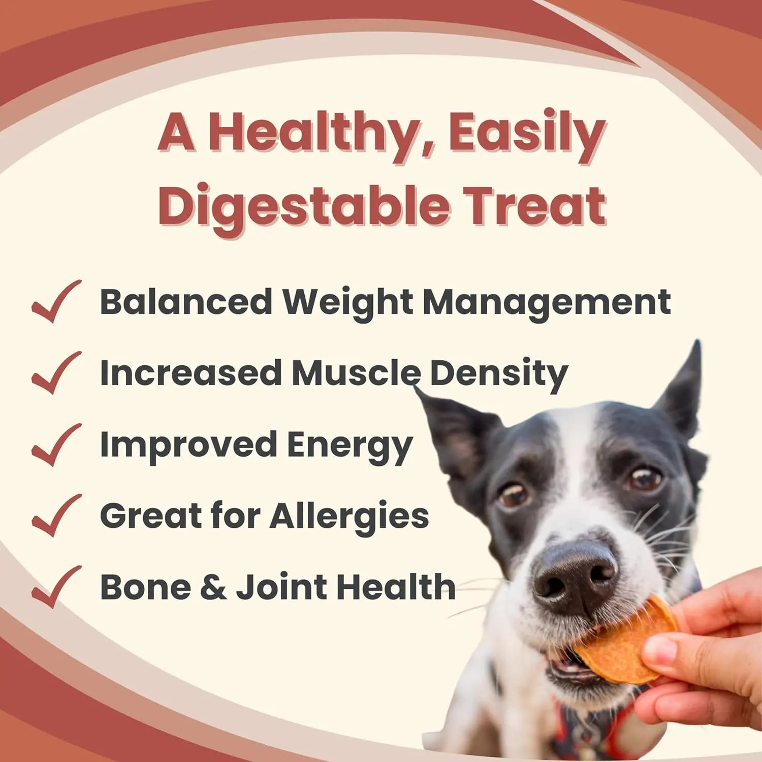 Farm To Pet Single Ingredient Healthy Chicken Chips Dog Treats - Ideal Snack for Canine Companions