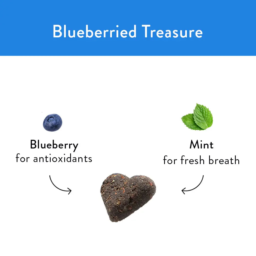 Shameless Pets Blueberry - Infused Soft Baked Delightful Dog Treats: A Treasure for Your Furry Friend