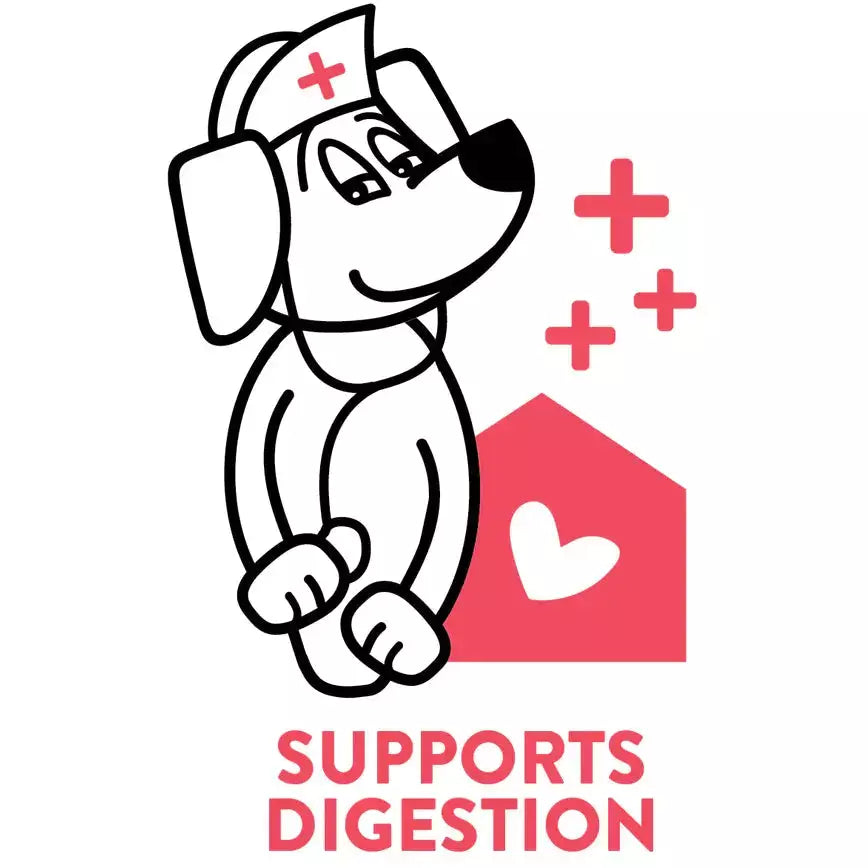 Shameless Pets A Cluck A Day Pre/Probiotic Dental Sticks for Tasty Dog Treats