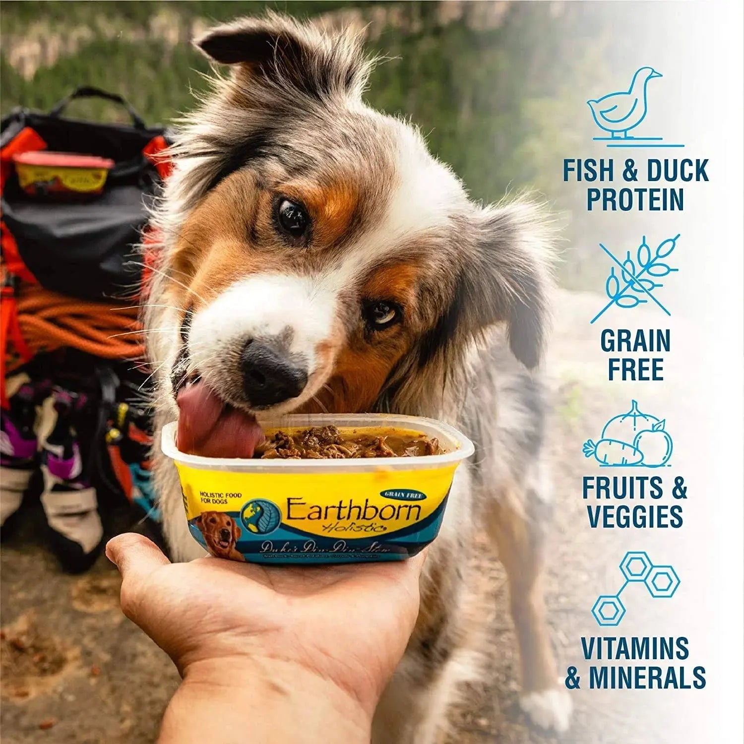 Earthborn Holistic Duke's Din - Din Grain - Free Wet Stew Dog Food, Pack of 8 Cans, Each 8 oz