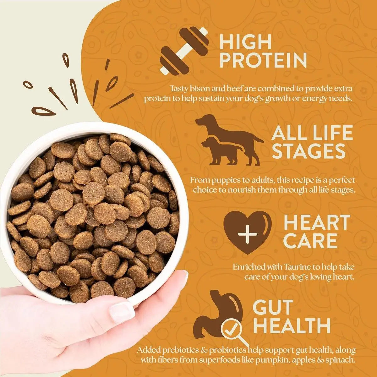 Earthborn Holistic Grain-Free Dry Dog Food - Great Plains Feast with Bison Meal and Vegetables