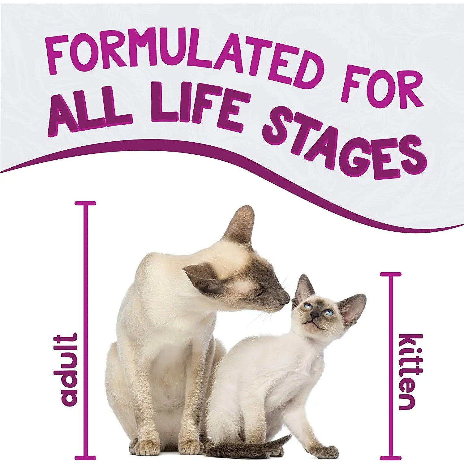 Earthborn Holistic Grain-Free Wet Cat Food: Harbor Harvest with Seafood Delight