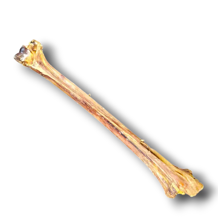 Savannah Single - Ingredient Hypoallergenic Ostrich Long Bone Dog Treat for Medium and Large Dogs