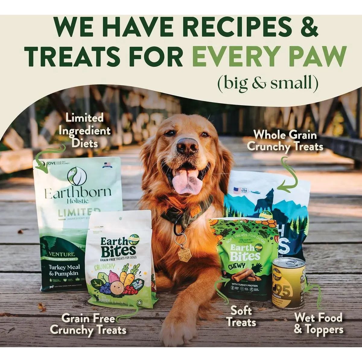 Earthborn Holistic High - Quality Grain - Free Turkey Meal & Pumpkin Dry Dog Food for All Life Stages