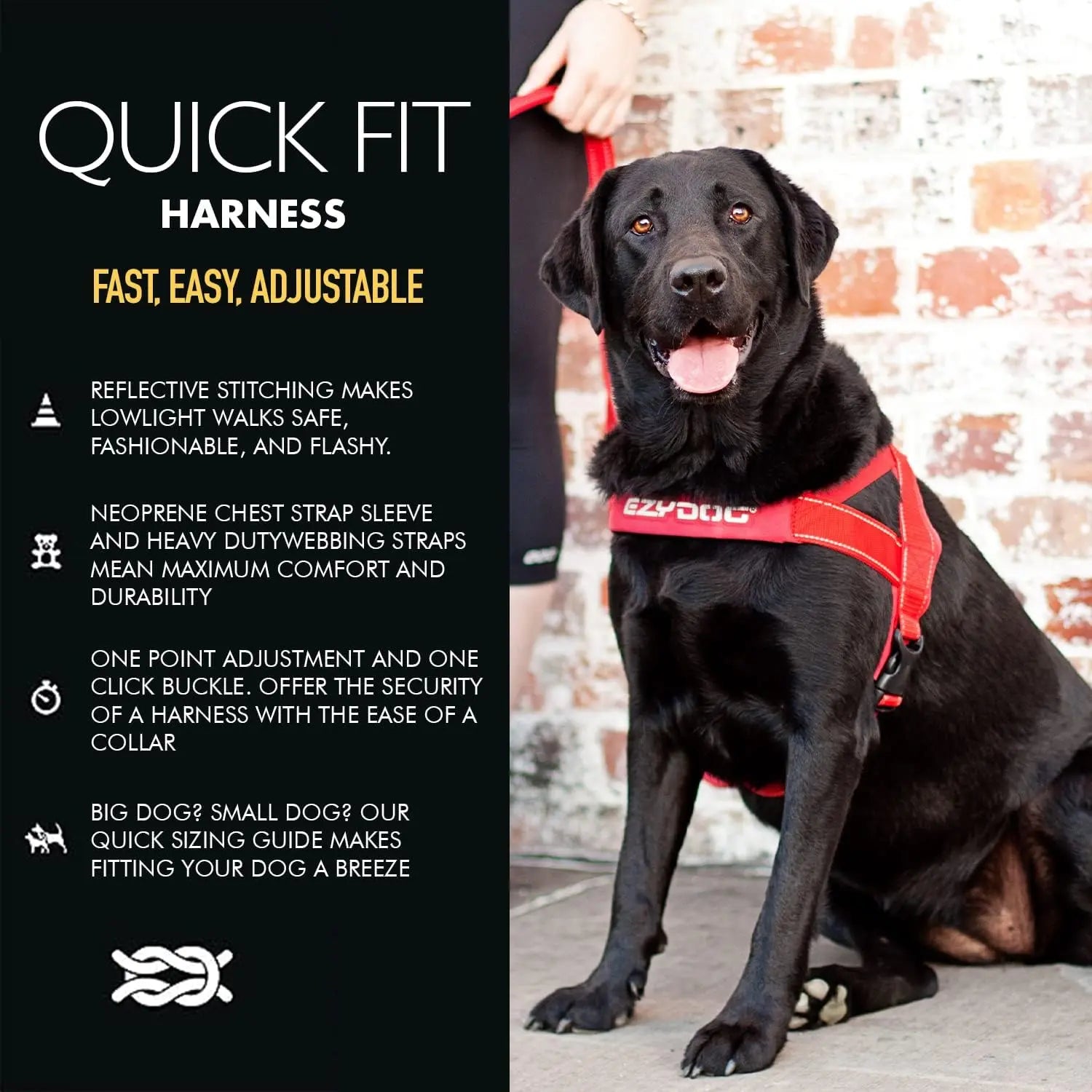 EzyDog Premium Adjustable No-Pull Quick-Fit Dog Harness