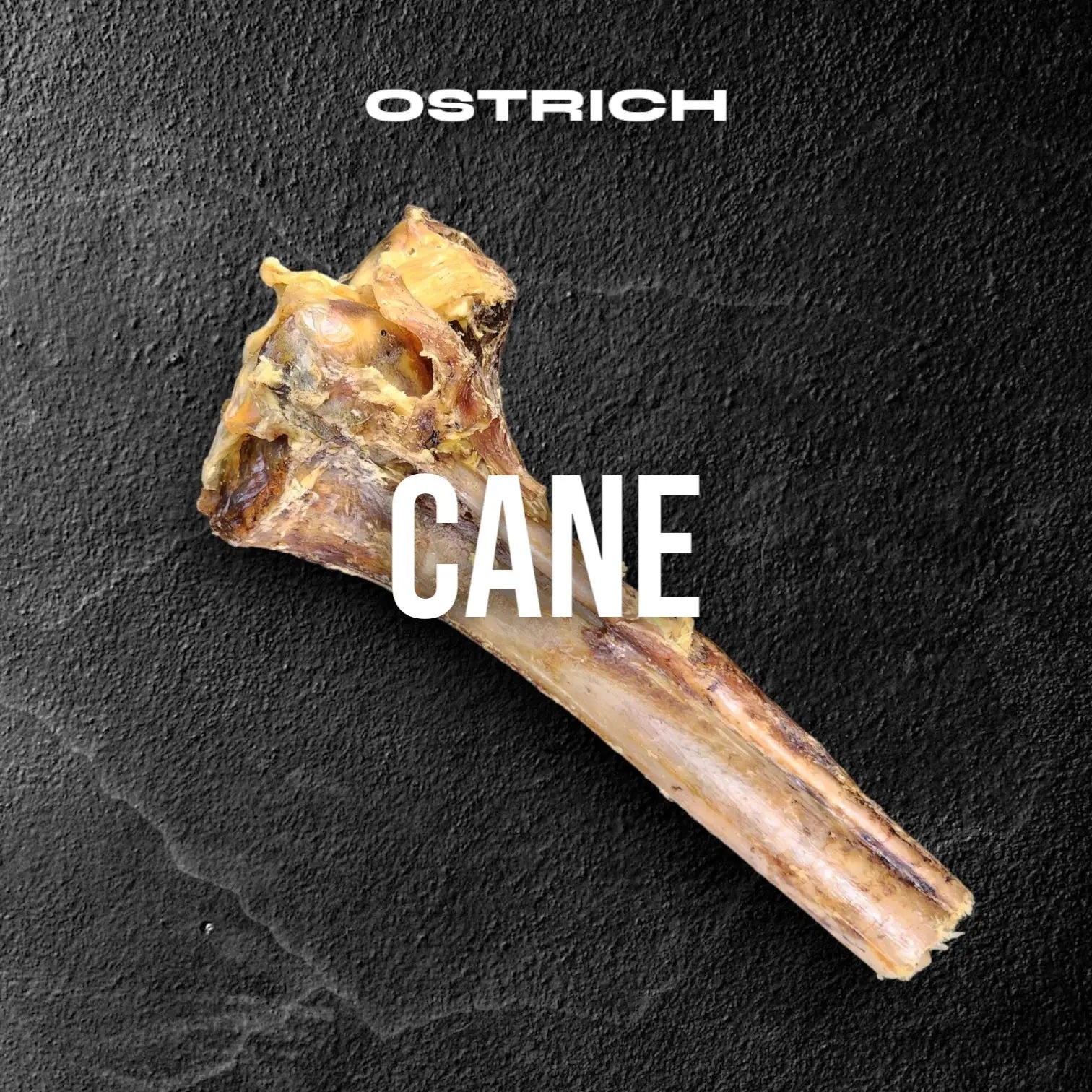 Long - lasting, Allergen - free Savannah Ostrich Cane: A Natural Dog Gnaw Treat