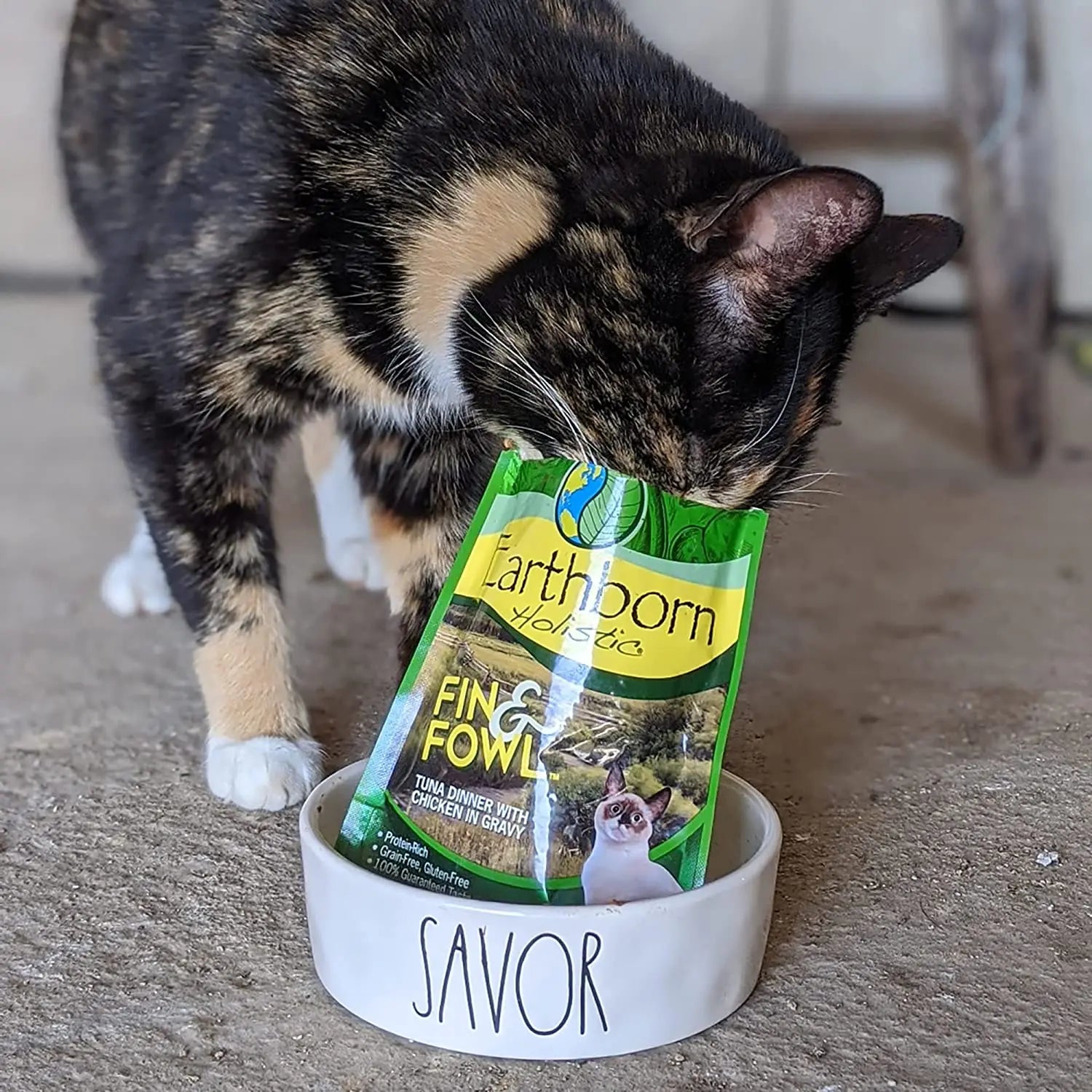 Earthborn Holistic Grain-Free Fin and Fowl Wet Canned Cat Food - Pack of 24 Pouches, Each 3 Ounces