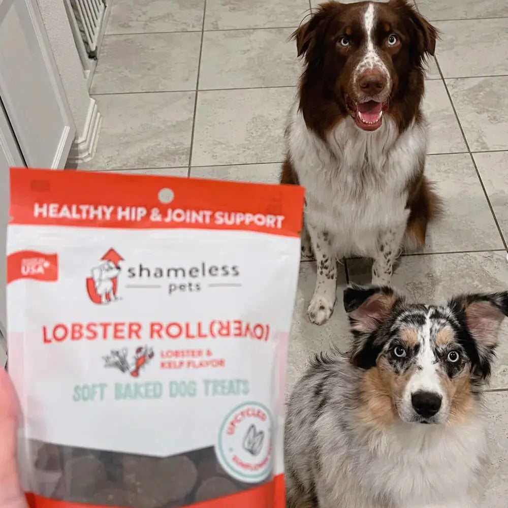 Shameless Pets Soft Baked Lobster - Flavored Dog Treats with Glucosamine