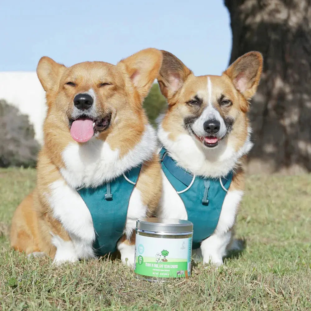 Shameless Pets Eco - Friendly Crunchy Dog Treats: Plant a Tree & Eat Greens