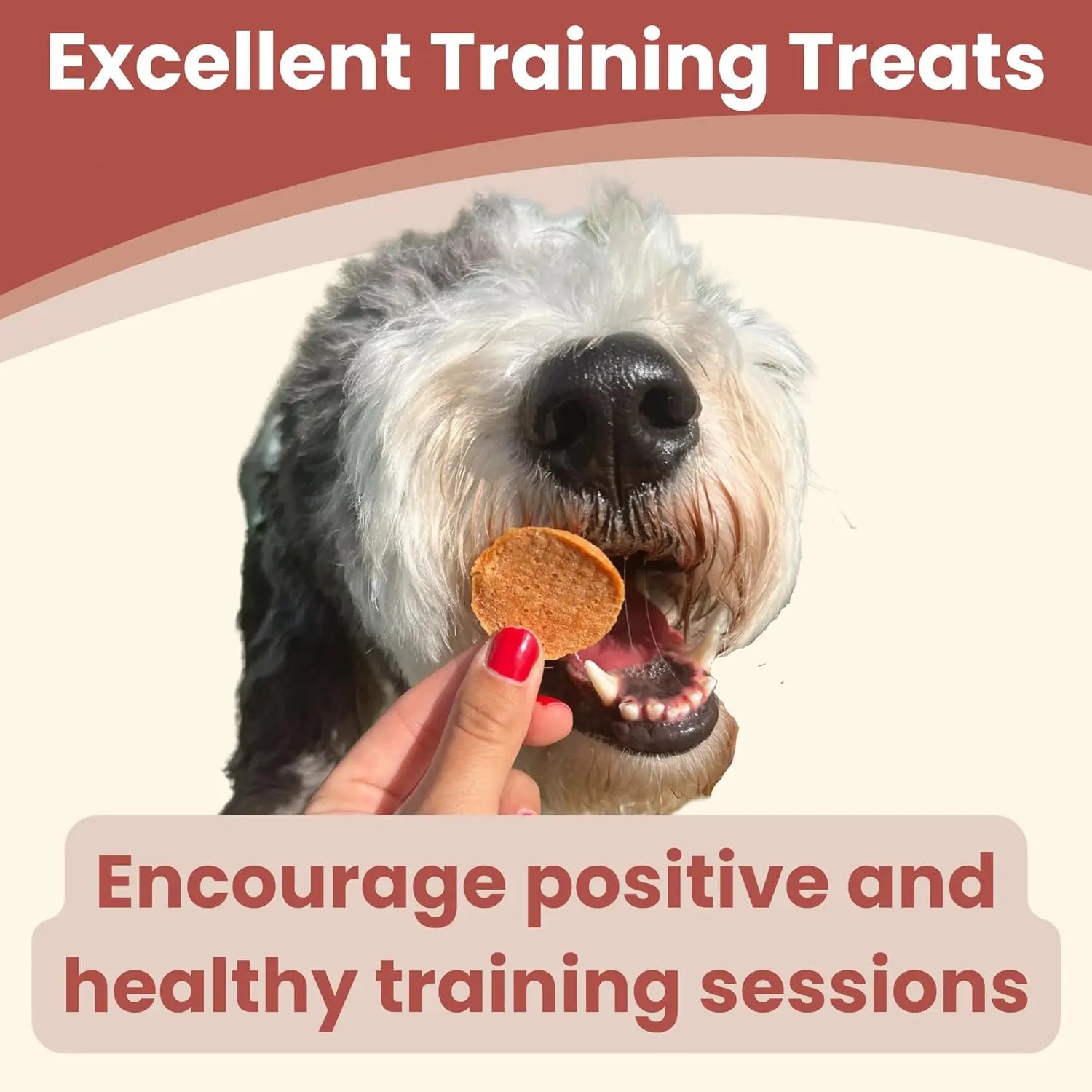 Farm To Pet Single Ingredient Healthy Chicken Chips Dog Treats - Ideal Snack for Canine Companions