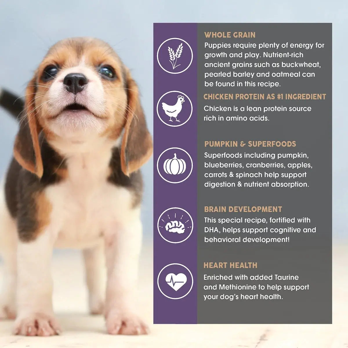 Earthborn Holistic® Grain - Free Dry Dog Food for Puppies - Puppy Vantage™