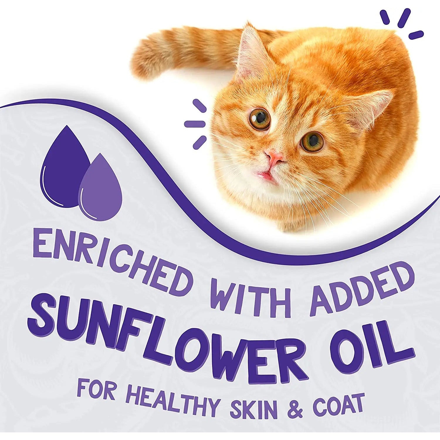 Earthborn Holistic Grain-Free 5.5 oz Chicken Fricatssee Wet Cat Food, 24 Packs