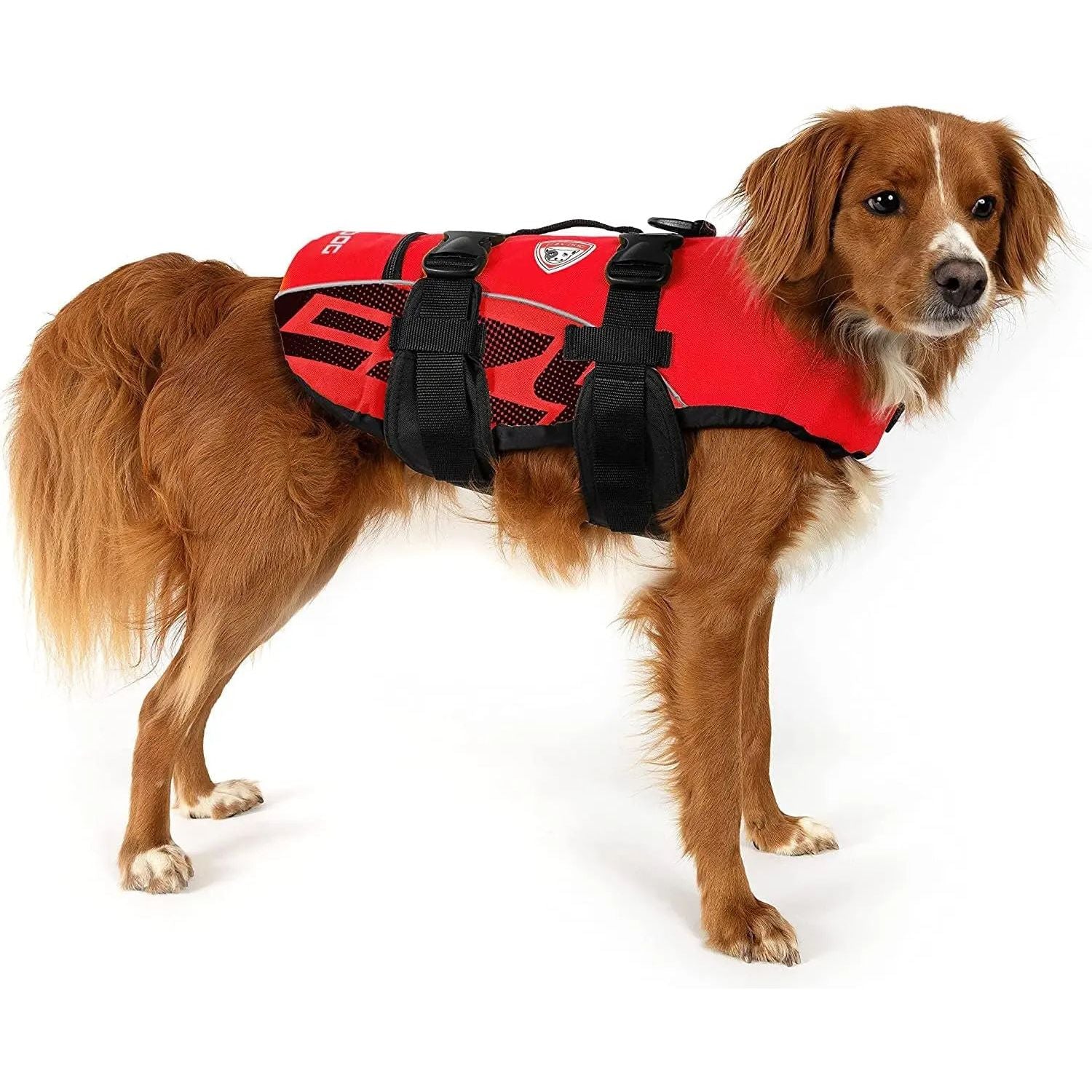 EzyDog Adjustable Dog Life Jacket: High-Performance Floatation Device