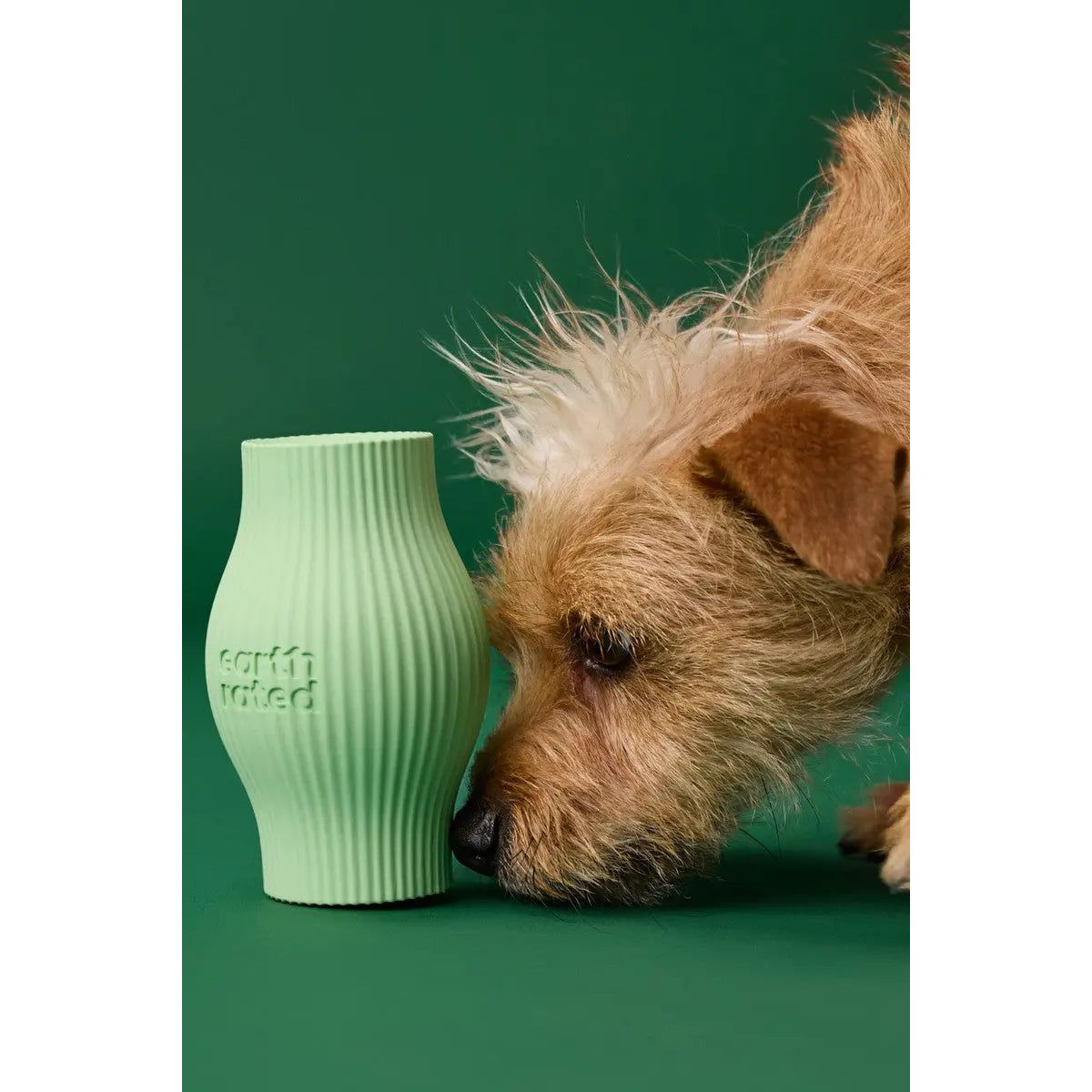 Earth Rated Green Rubber Interactive Treat Toy for Canines