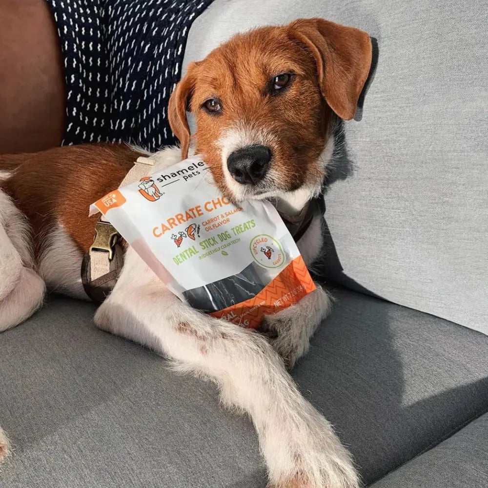 Shameless Pets Delicious Carrot Chomp Dental Dog Treat Sticks
