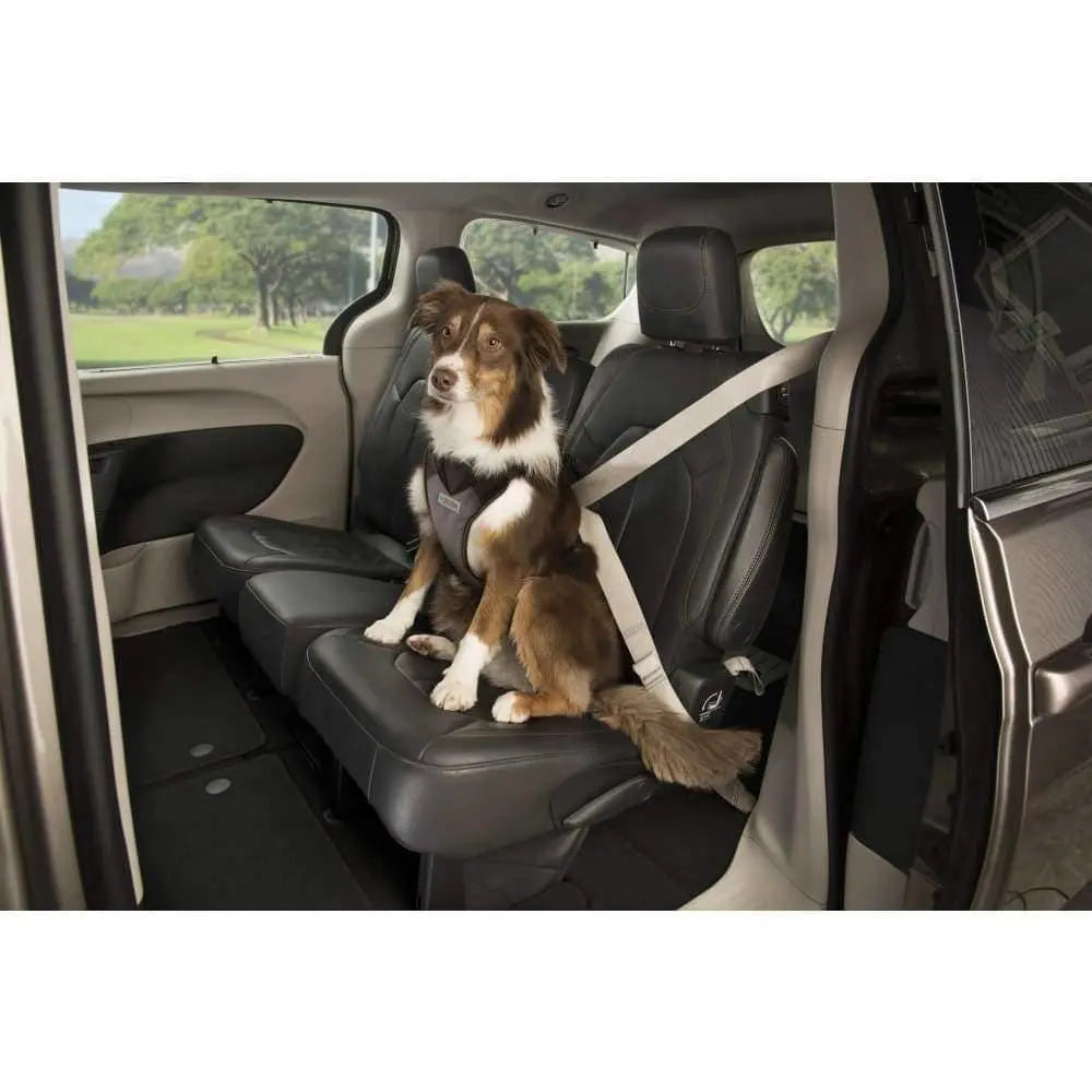 Sherpa's Pet Trading Company Black Crash Tested Seatbelt Safety Dog Harness for Enhanced Pet Safety During Car Rides