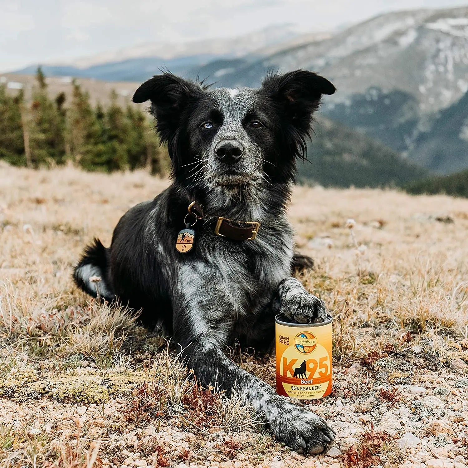 Earthborn Holistic Grain-Free K95 Single Meat Protein Canned Wet Dog Food, Pack of 12 with 13-Ounce Cans