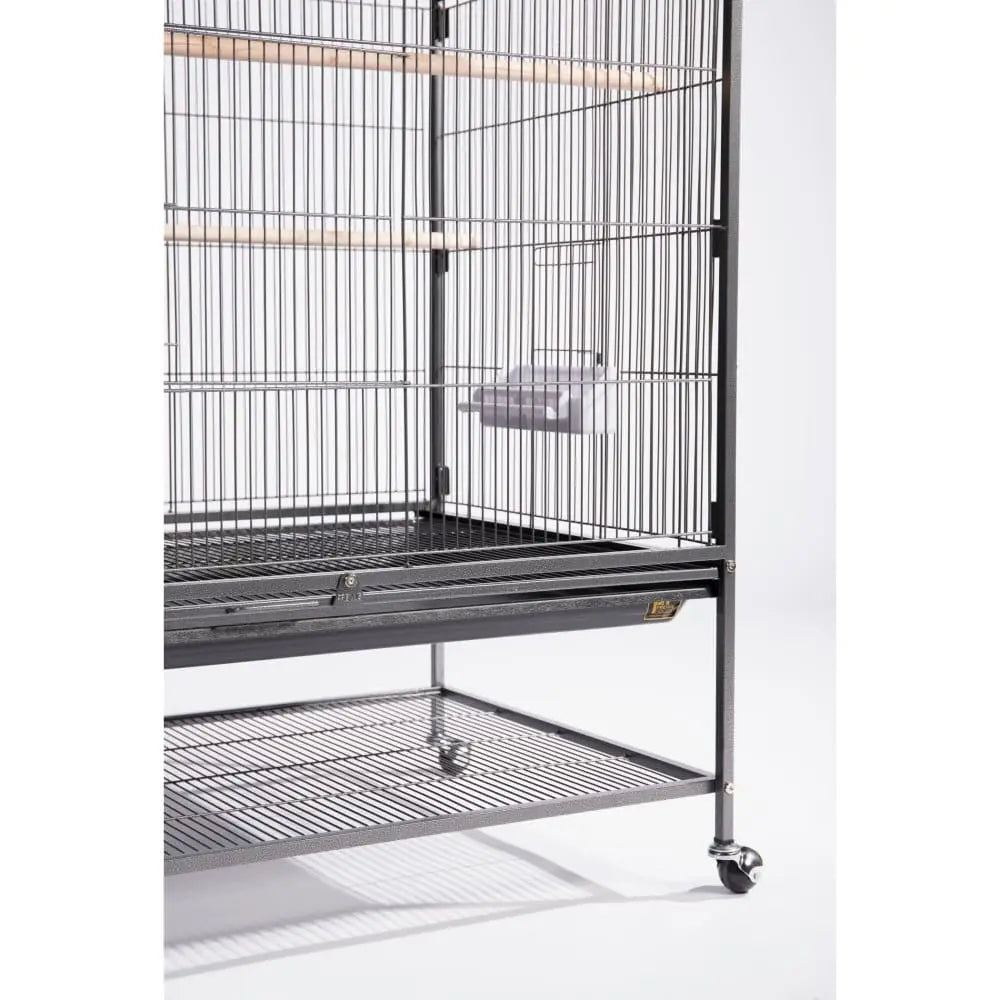 Extra Large Black Hammertone Wrought Iron Flight Cage for Parakeets, Canaries, and Finches - Model F050