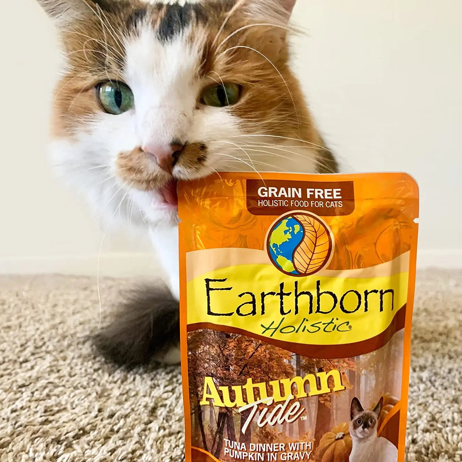 Earthborn Holistic Grain-Free 3 oz Wet Cat Food - Autumn Tide, 24 Pouches