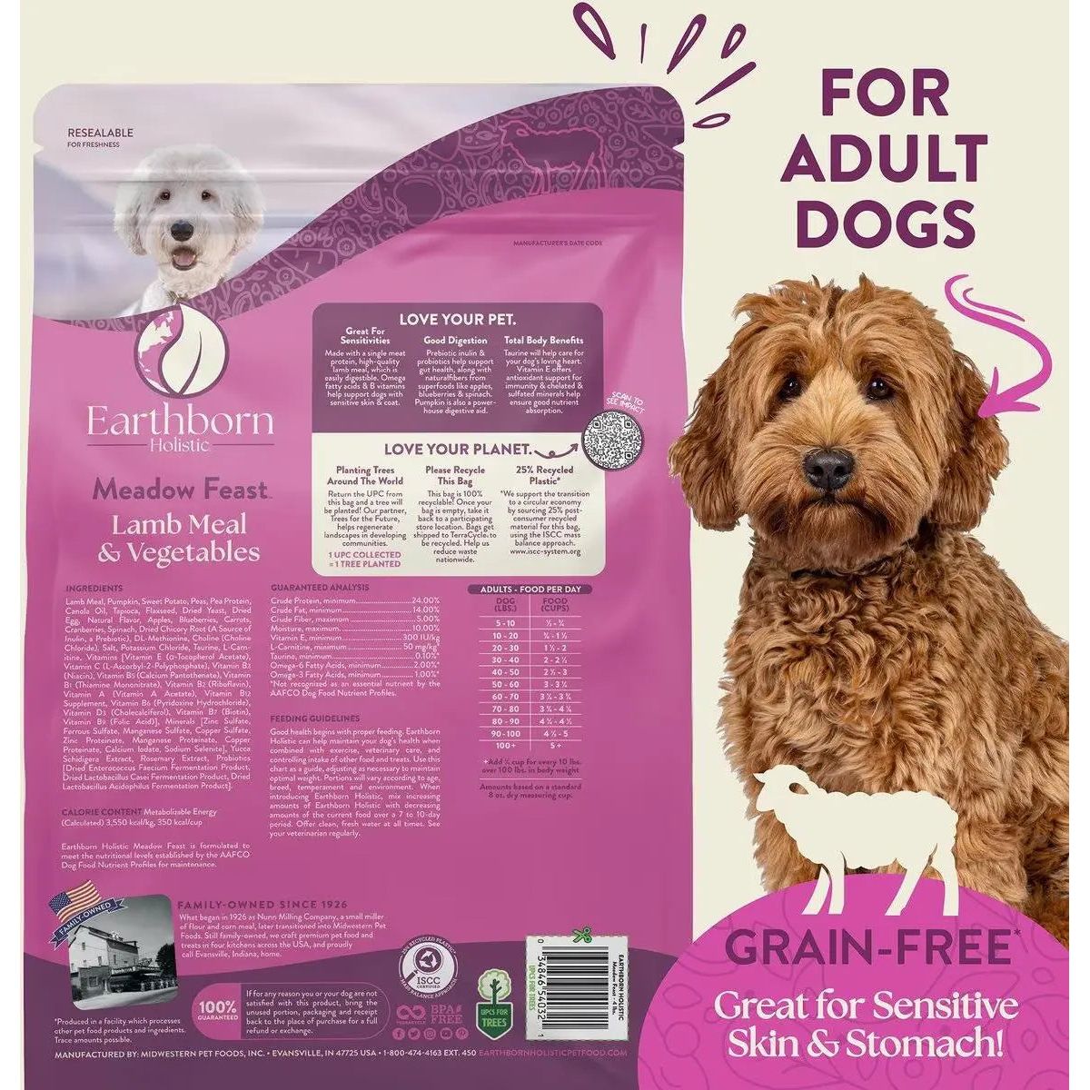 Earthborn Holistic Grain - Free Dry Dog Food: Meadow Feast Lamb Meal & Vegetables Recipe for Dogs