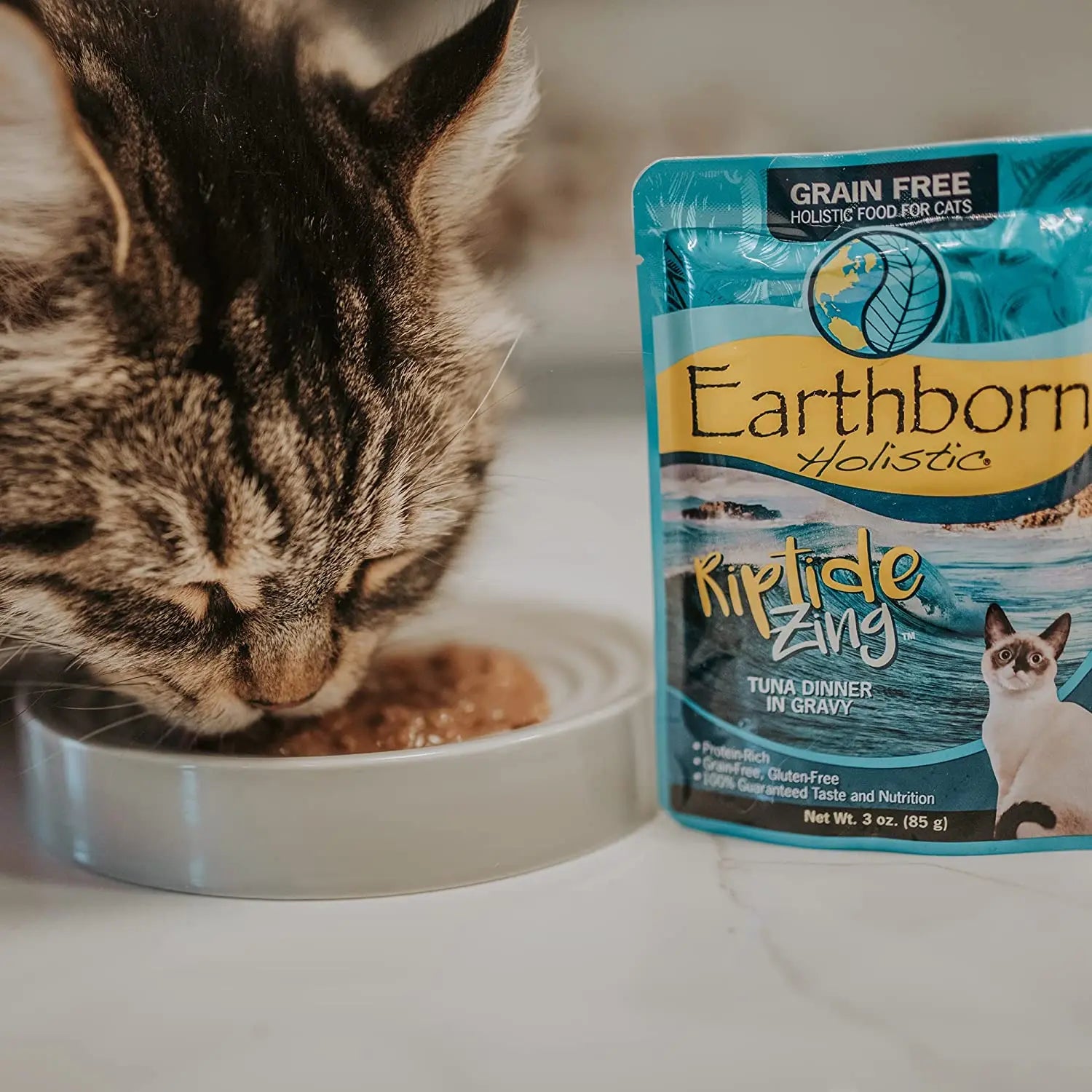 Earthborn Holistic Grain-Free Wet Cat Food - Riptide Zing Tuna Dinner in Gravy, 24 Pouches of 3 Ounces Each