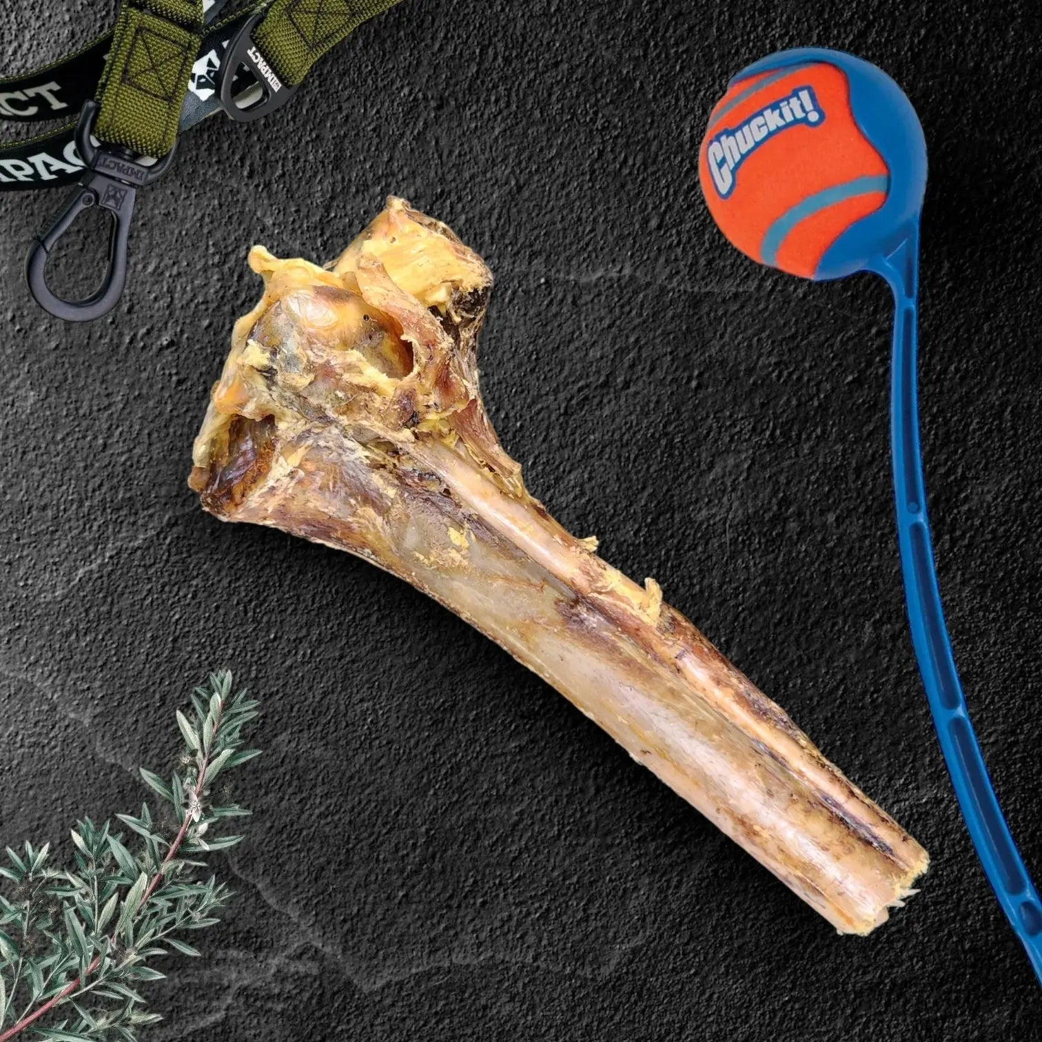 Long - lasting, Allergen - free Savannah Ostrich Cane: A Natural Dog Gnaw Treat