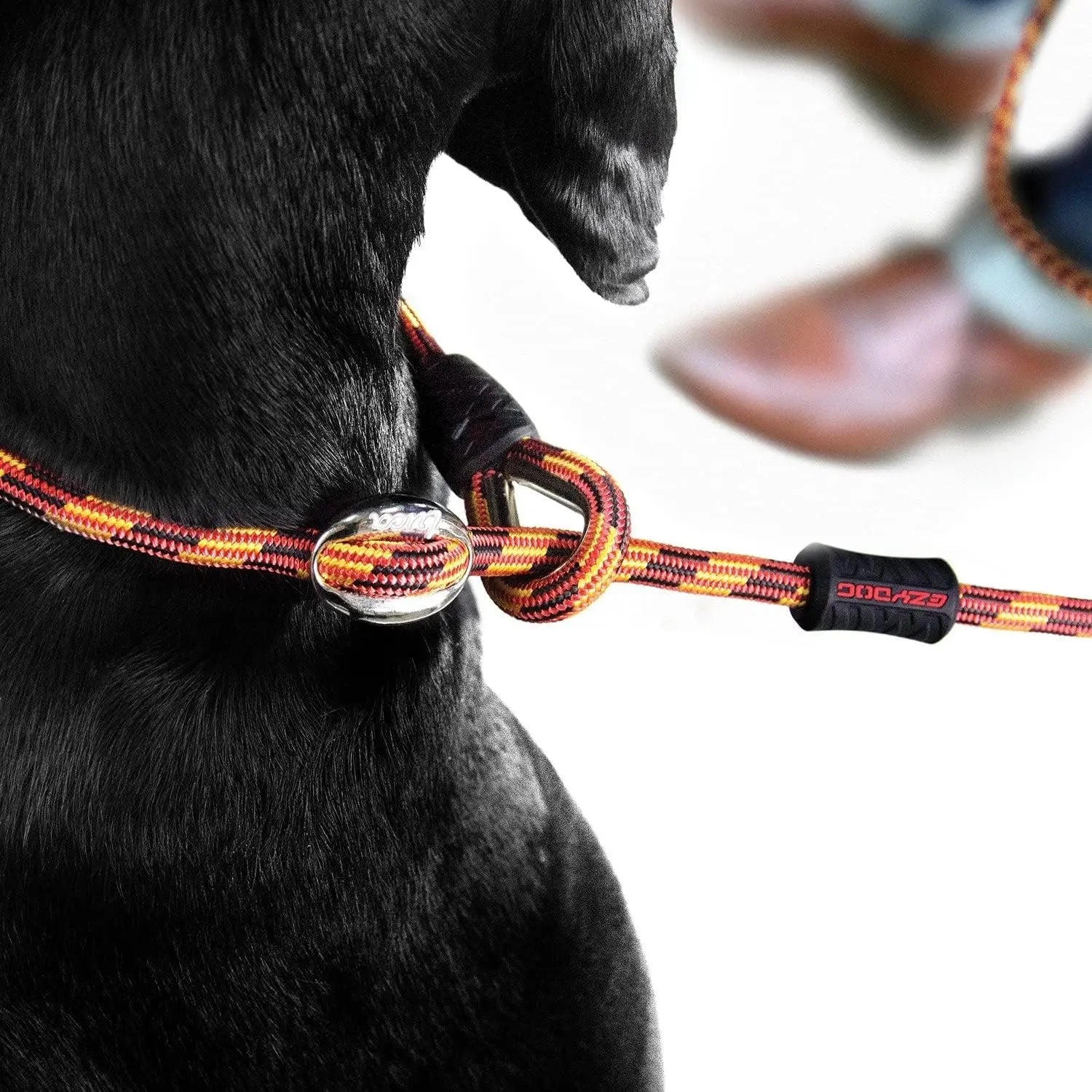 EzyDog Luca All-in-One Slip Collar and Climbing Rope Dog Leash Combination for a Superior Canine Walking Experience