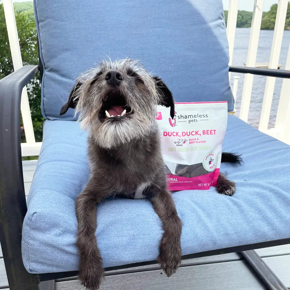Shameless Pets Soft Baked Gourmet Dog Treats with Delectable Duck and Beet Flavor