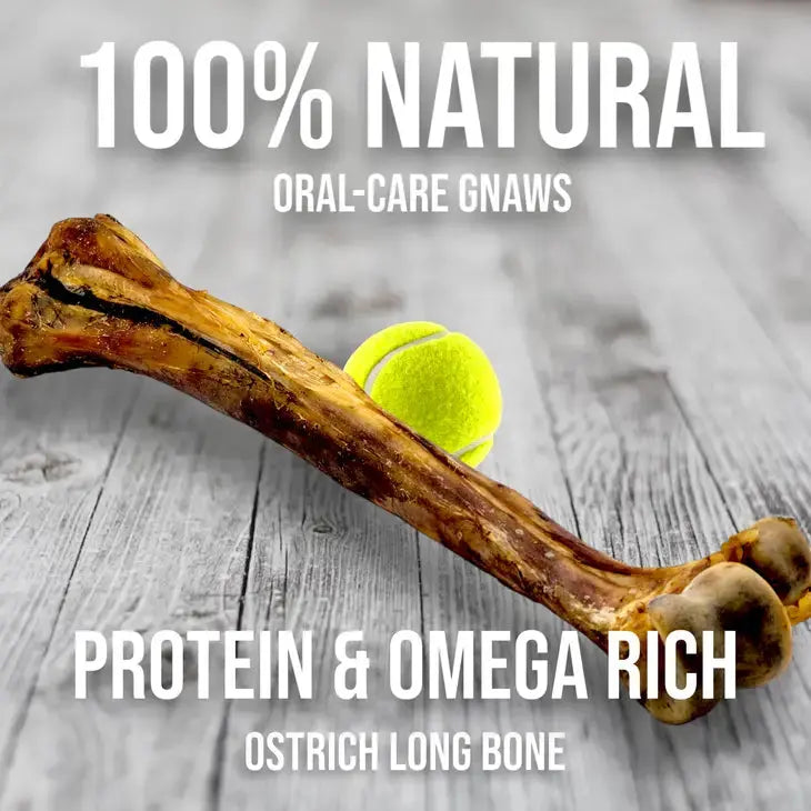 Savannah Single - Ingredient Hypoallergenic Ostrich Long Bone Dog Treat for Medium and Large Dogs