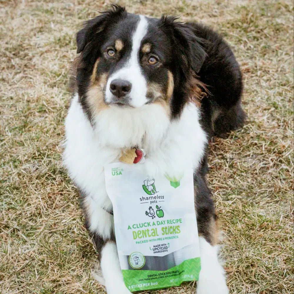 Shameless Pets A Cluck A Day Pre/Probiotic Dental Sticks for Tasty Dog Treats