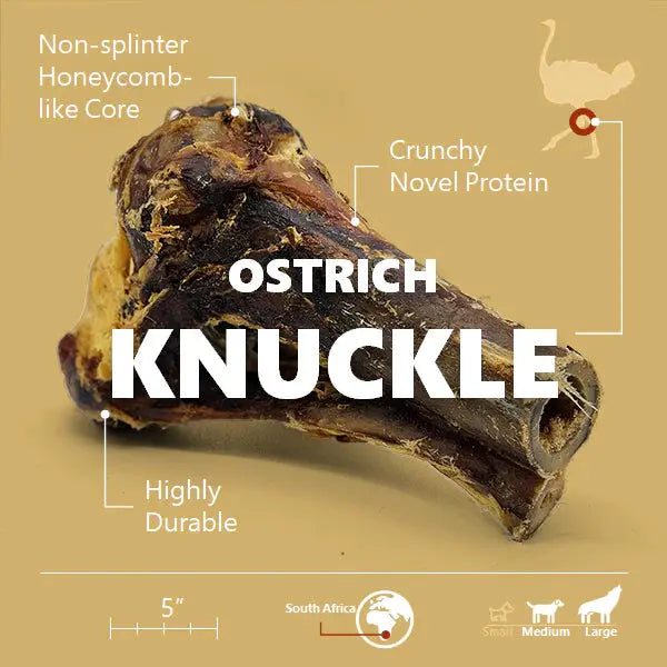 Savannah All-Natural, Long-Lasting Ostrich Knuckle Dog Gnaw Treat - Splinter-Free