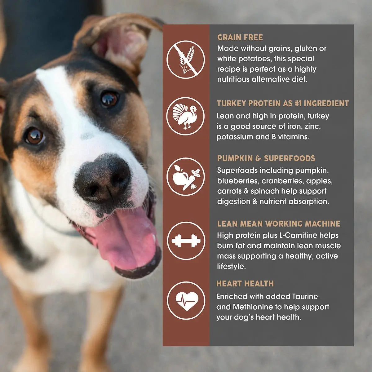 Earthborn Holistic Grain-Free Primitive Natural High-Protein Turkey Dry Dog Food