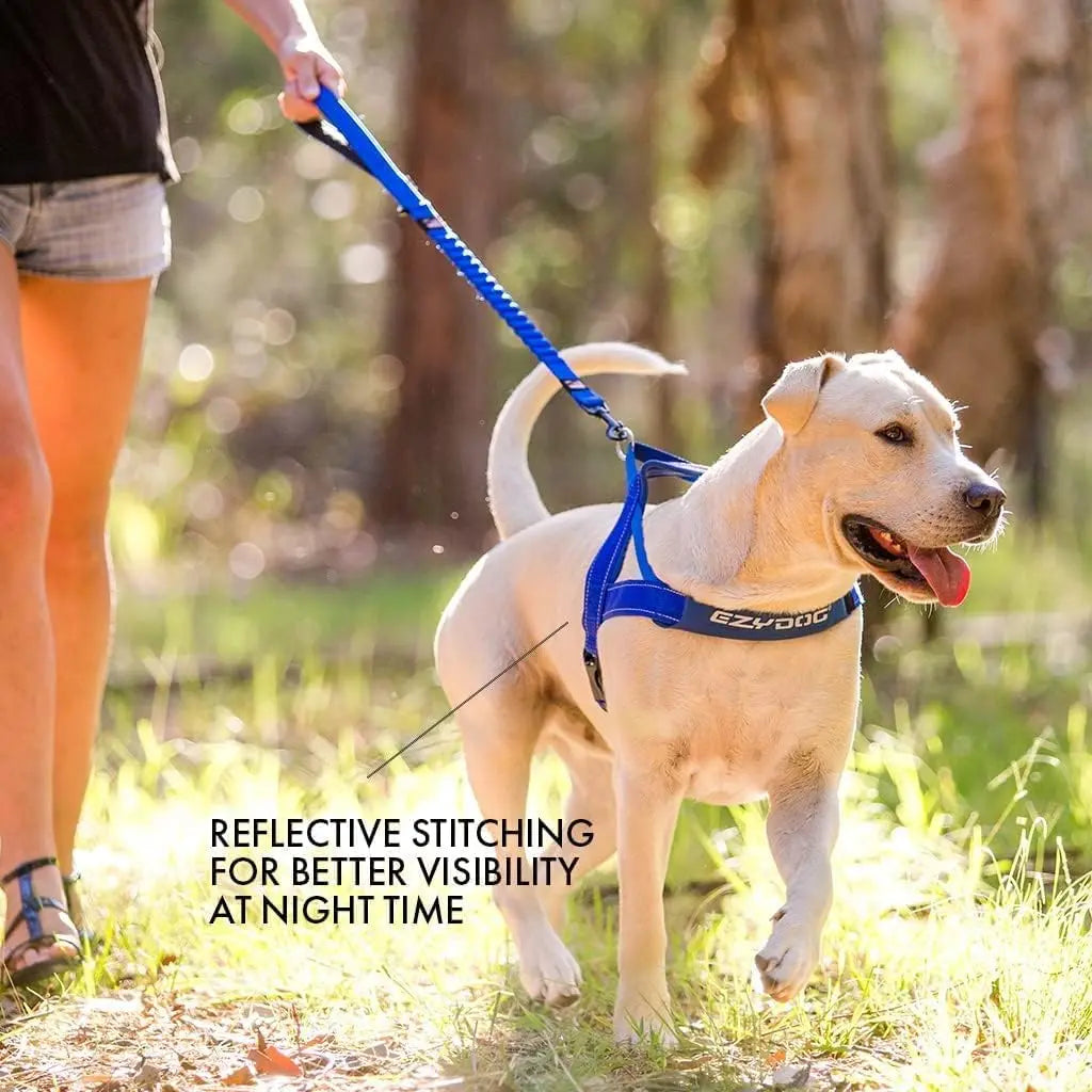 EzyDog Premium Adjustable No-Pull Quick-Fit Dog Harness