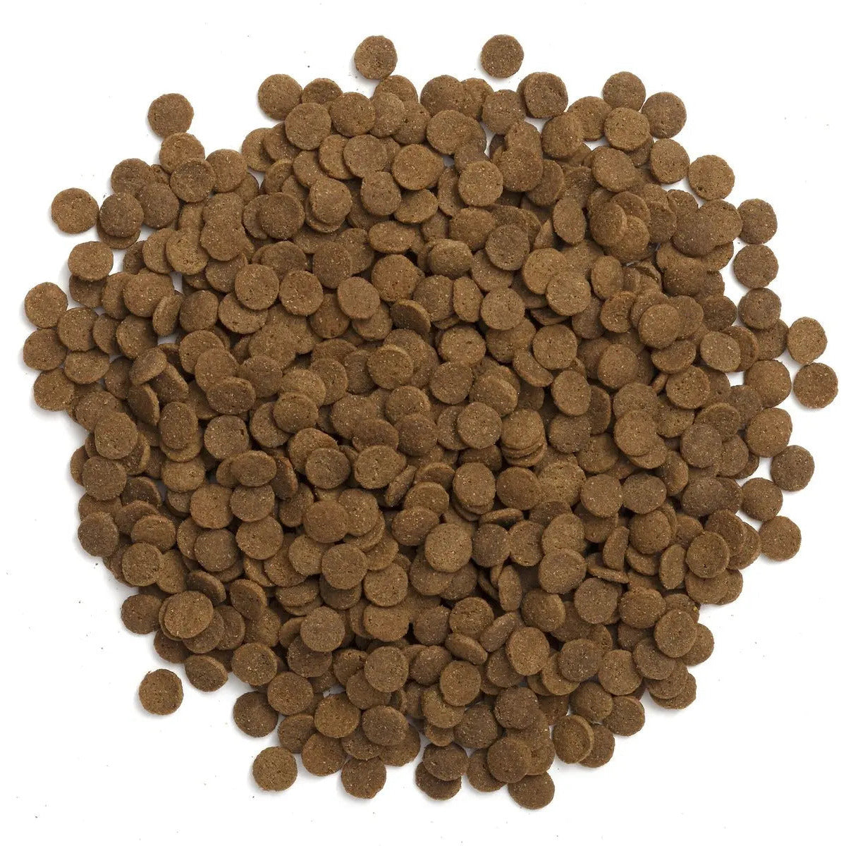 Earthborn Holistic® Western Feast™ Grain - Free Dog Food with Beef Meal, 28 - Pound Bag