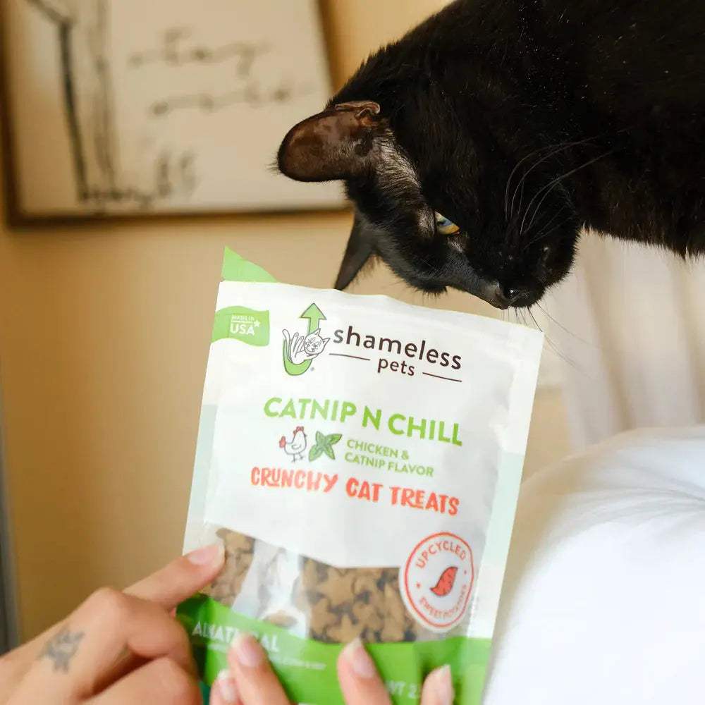 Shameless Pets Crunchy Cat Treats with Catnip for a Relaxed Feline