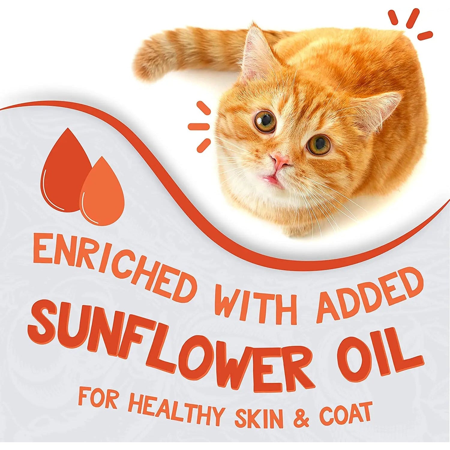 Earthborn Holistic Grain-Free Wet Cat Food - Catalina Catch with Wild-Caught Mackerel and Shrimp