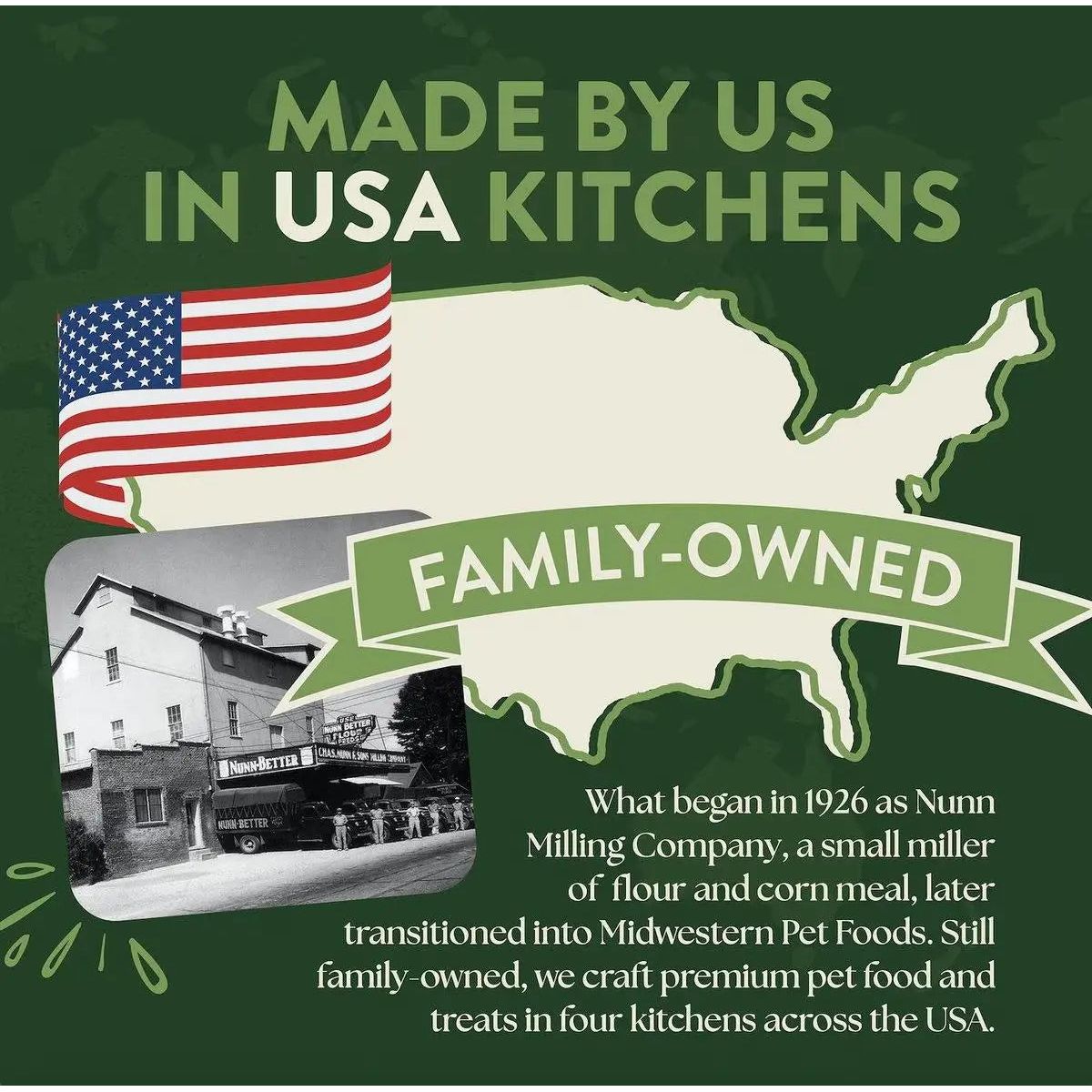 Earthborn Holistic High - Quality Grain - Free Turkey Meal & Pumpkin Dry Dog Food for All Life Stages