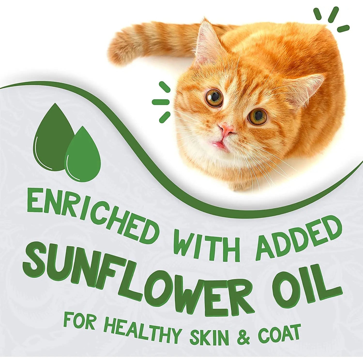 Earthborn Holistic Grain-Free Wet Cat Food with Savory Chicken Catcciatori