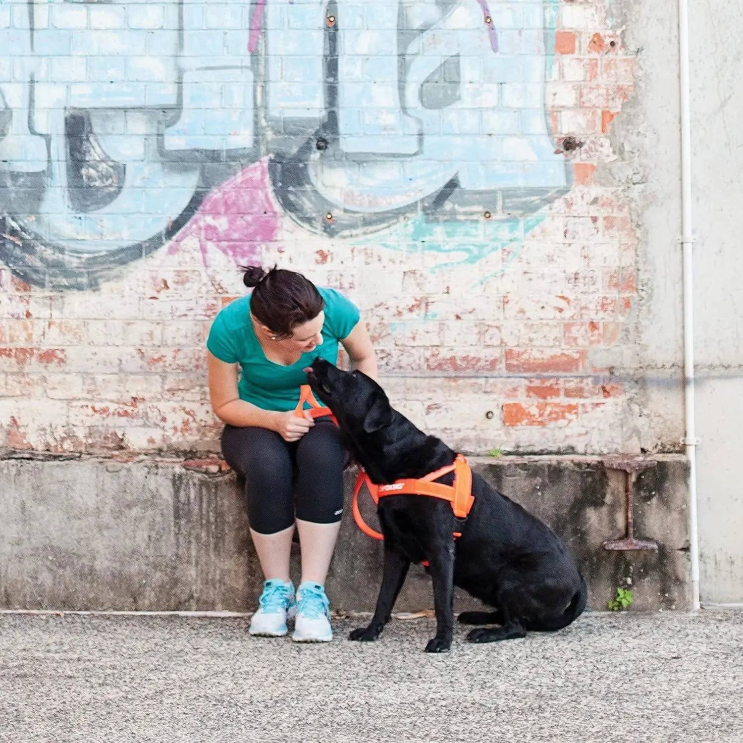 EzyDog Premium Adjustable No-Pull Quick-Fit Dog Harness