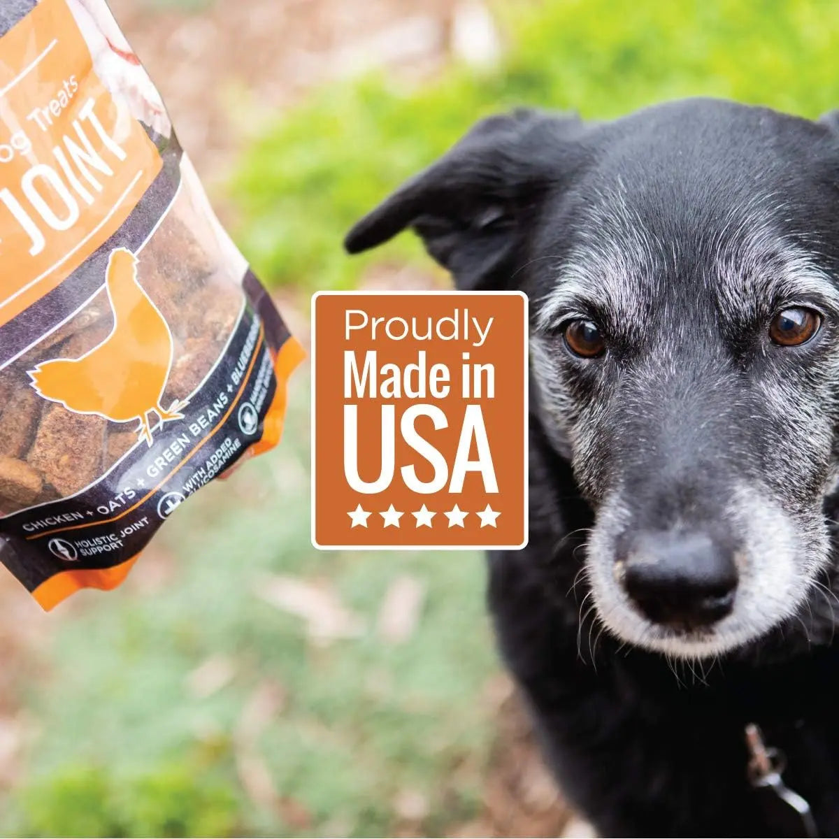 Premium Smart Cookie Hip and Joint Support Dog Treats - 8oz Chicken Biscuits with Glucosamine Specially Designed for Senior Dogs