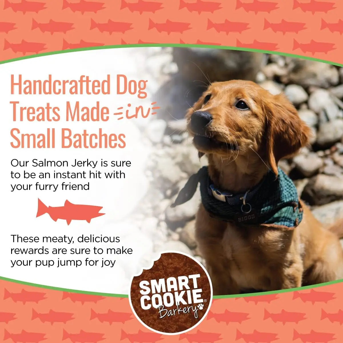 High - Quality Smart Cookie All - Natural Wild - Caught Alaskan Salmon Jerky Treats Specially Designed for Dogs