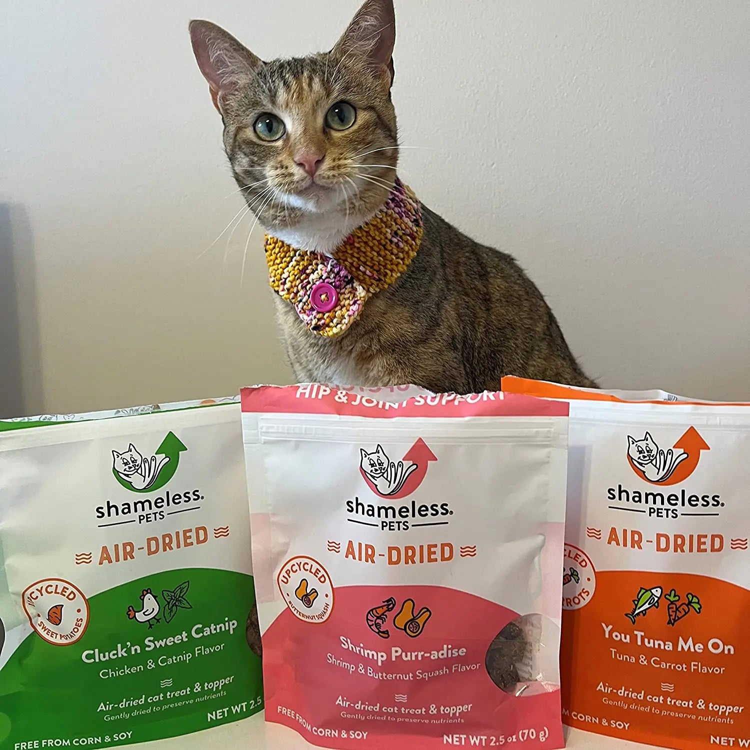 Shameless Pets Air-Dried Cat Treat & Topper - Cluck'n Sweet Catnip Flavor, 2.5 Ounce Cat Snack