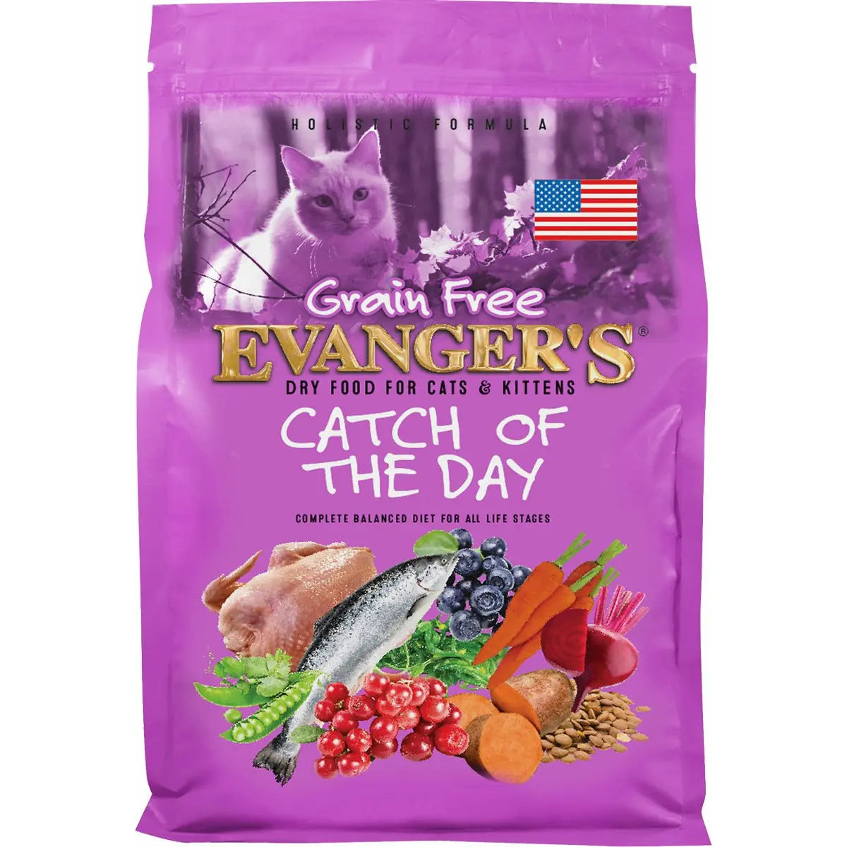 Evanger's 4.4 lb Grain-Free Dry Kitten Food: Catch of the Day
