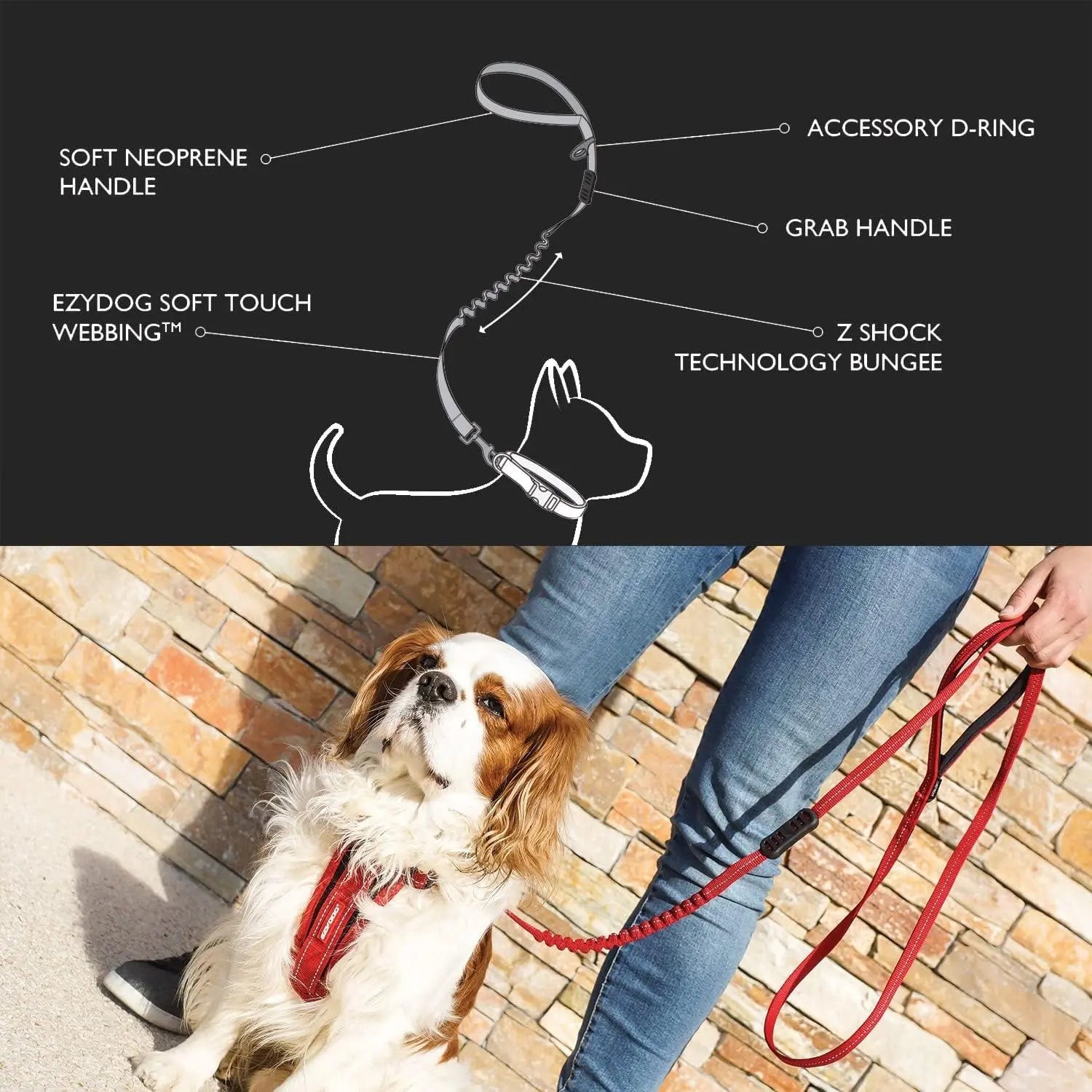 EzyDog 72-Inch Zero Shock Lite Bungee Dog Leash for Small Breeds